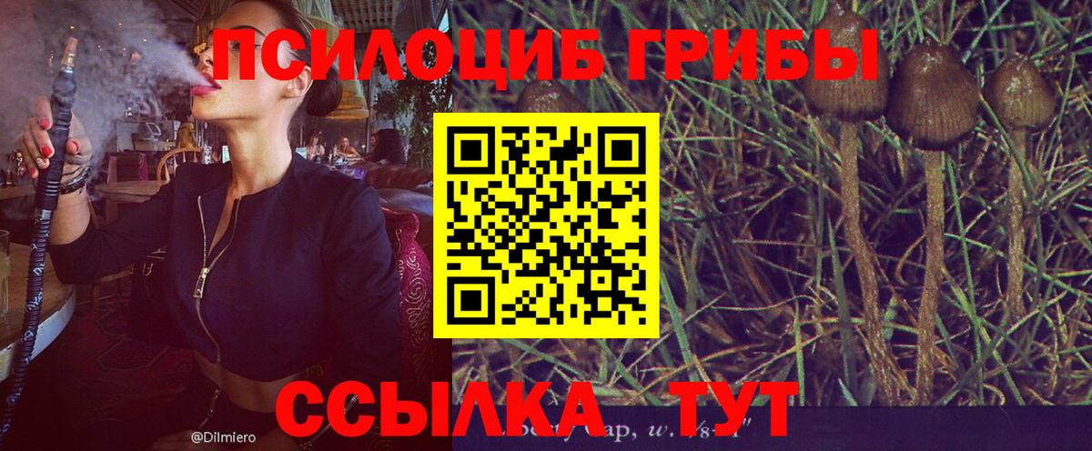 Краснокаменск  наркота  Галлюциногенные грибы ЛСД  Вход с VPN  Псилоцибиновые грибы мухоморы 